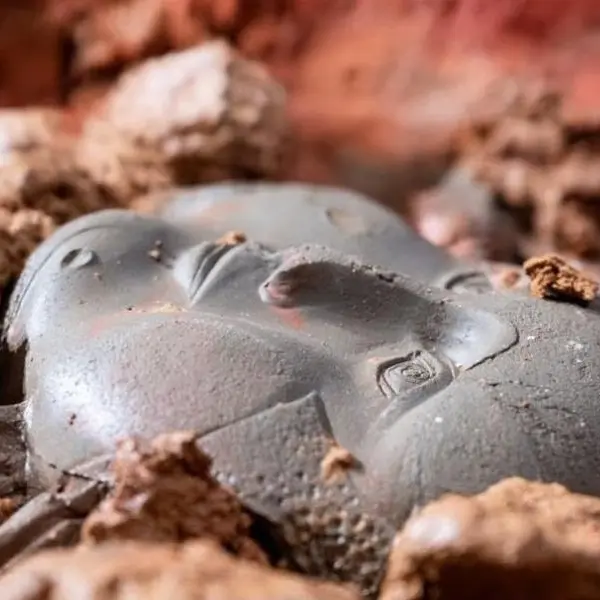 Convegno: "Terra che rinasce. Sostenibilità e minor impatto ambientale nella ceramica contemporanea"