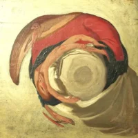 Cristina Roccati (1732-1797). La donna che osò studiare fisica