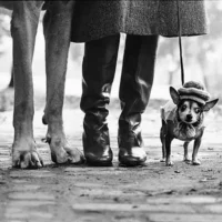 Elliott Erwitt. Icons