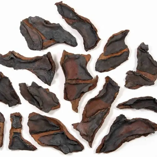 Nanni Valentini. Non solo terracotta