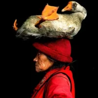 Cristina Mittermeier. La grande saggezza