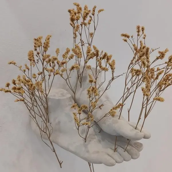 Frammenti. Di piante, di cose, di mondo - Mostra collettiva
