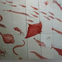 Massimo Ruiu. Storie dal mare