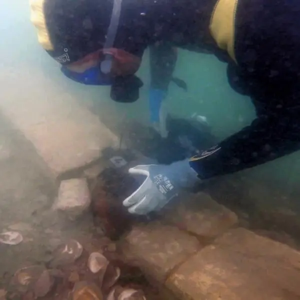 Un ostriarium romano in laguna di Venezia